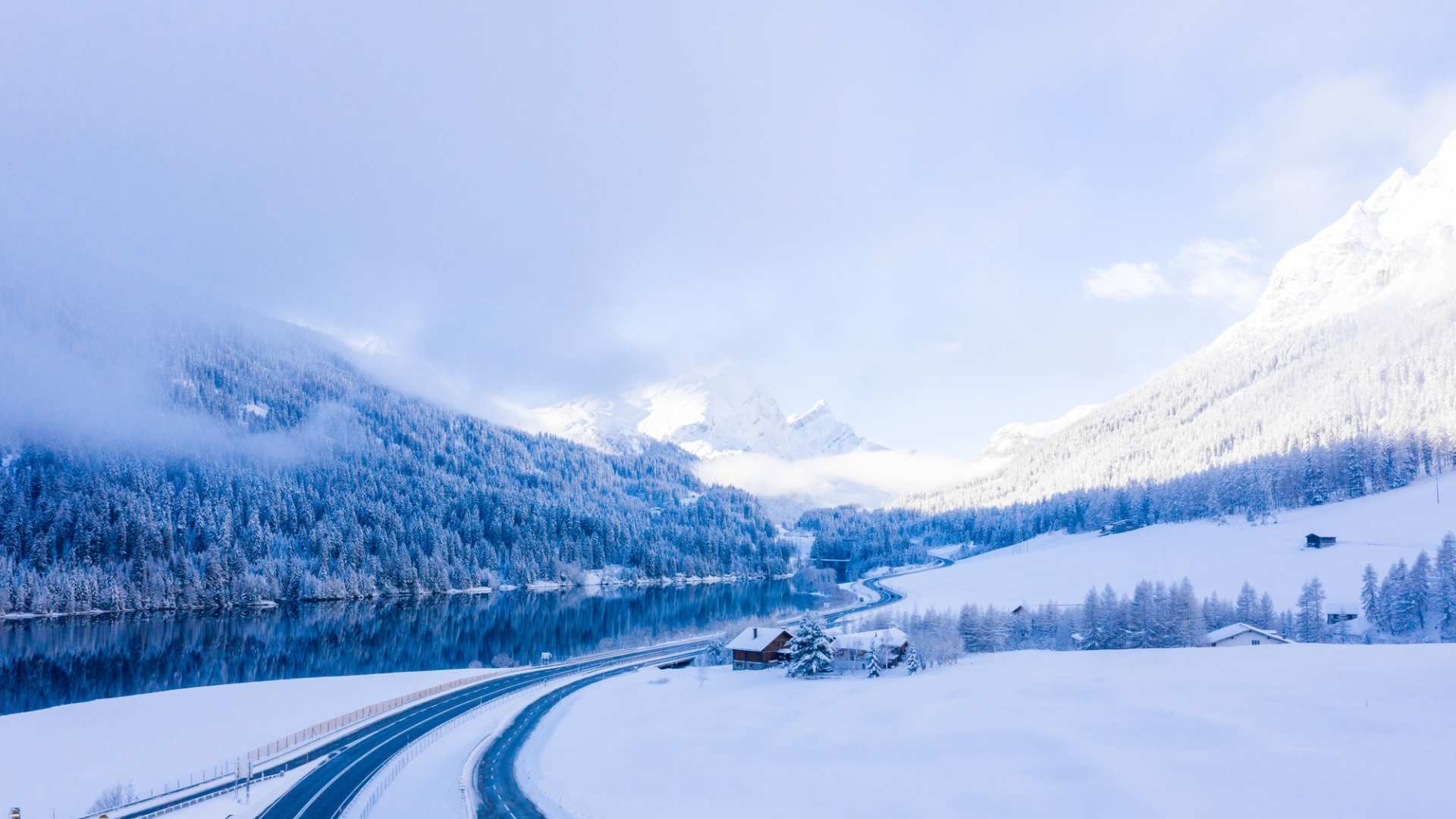 The Healer - Lifeflow Healing Ministries